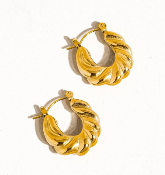 Twisted Hoop Earrings